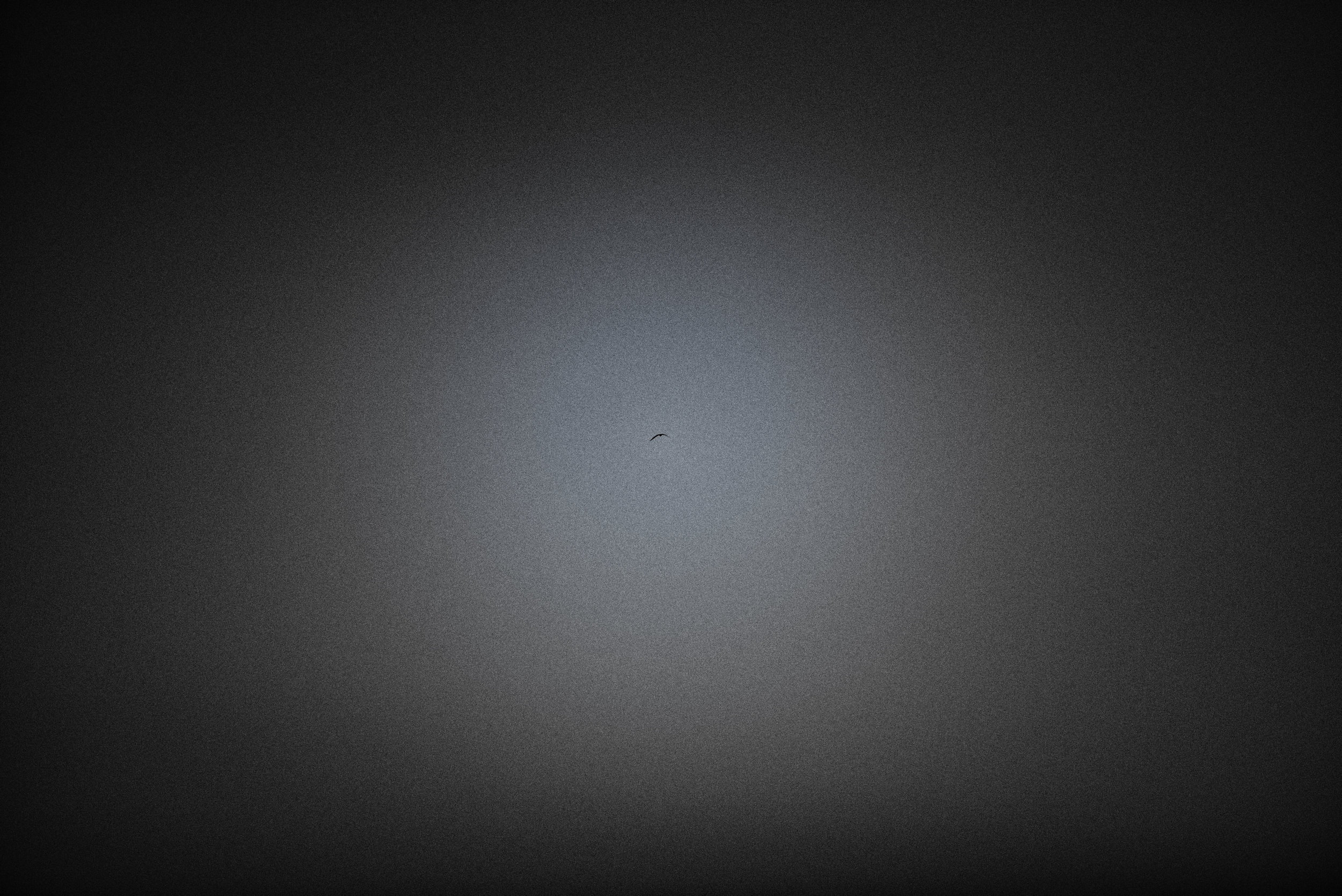 C01_0774_edts