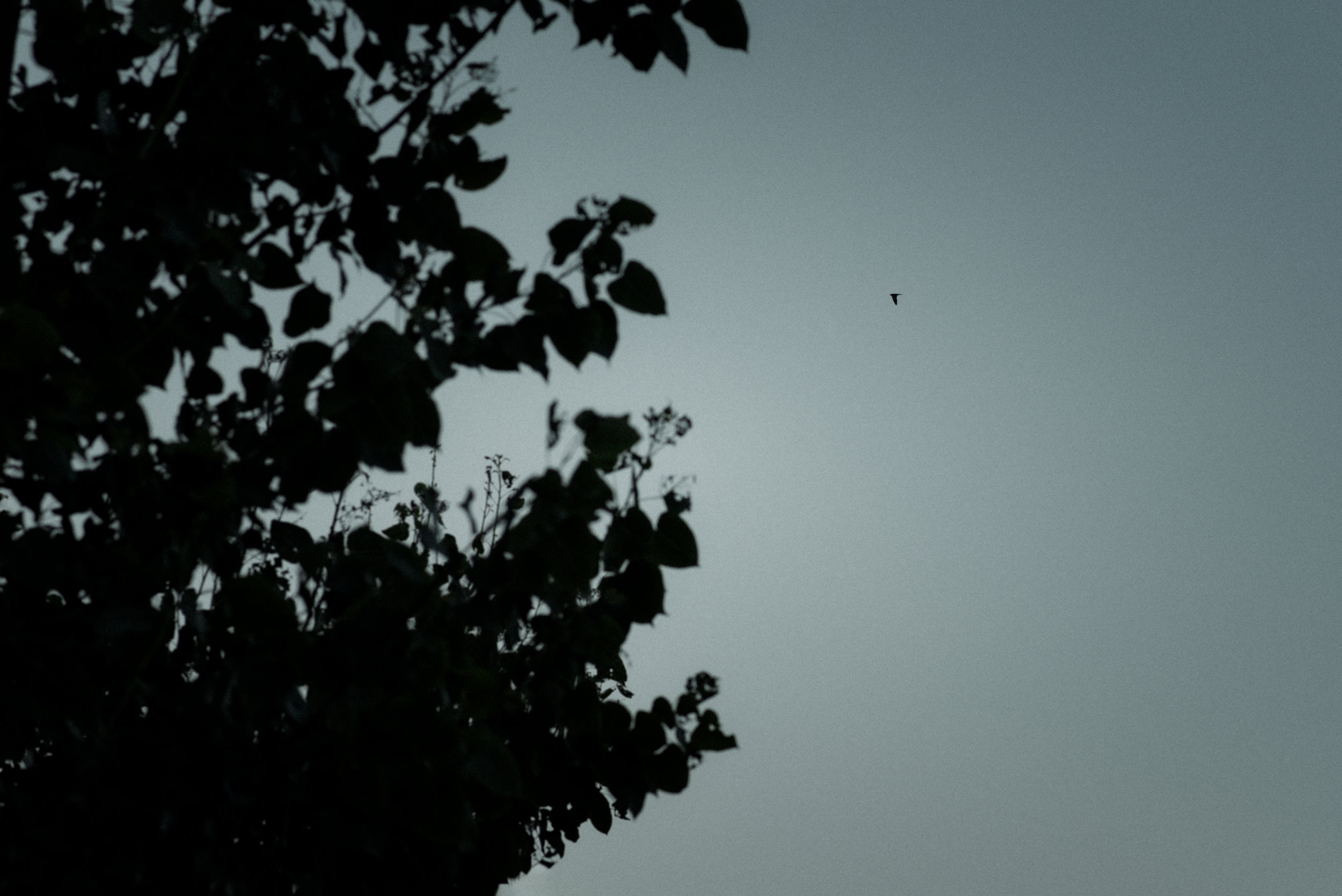 C01_0758_edts
