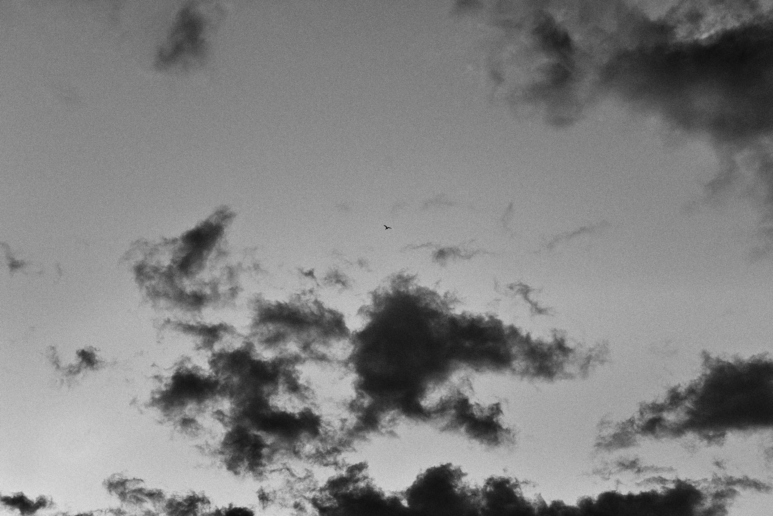 C01_7294_edts