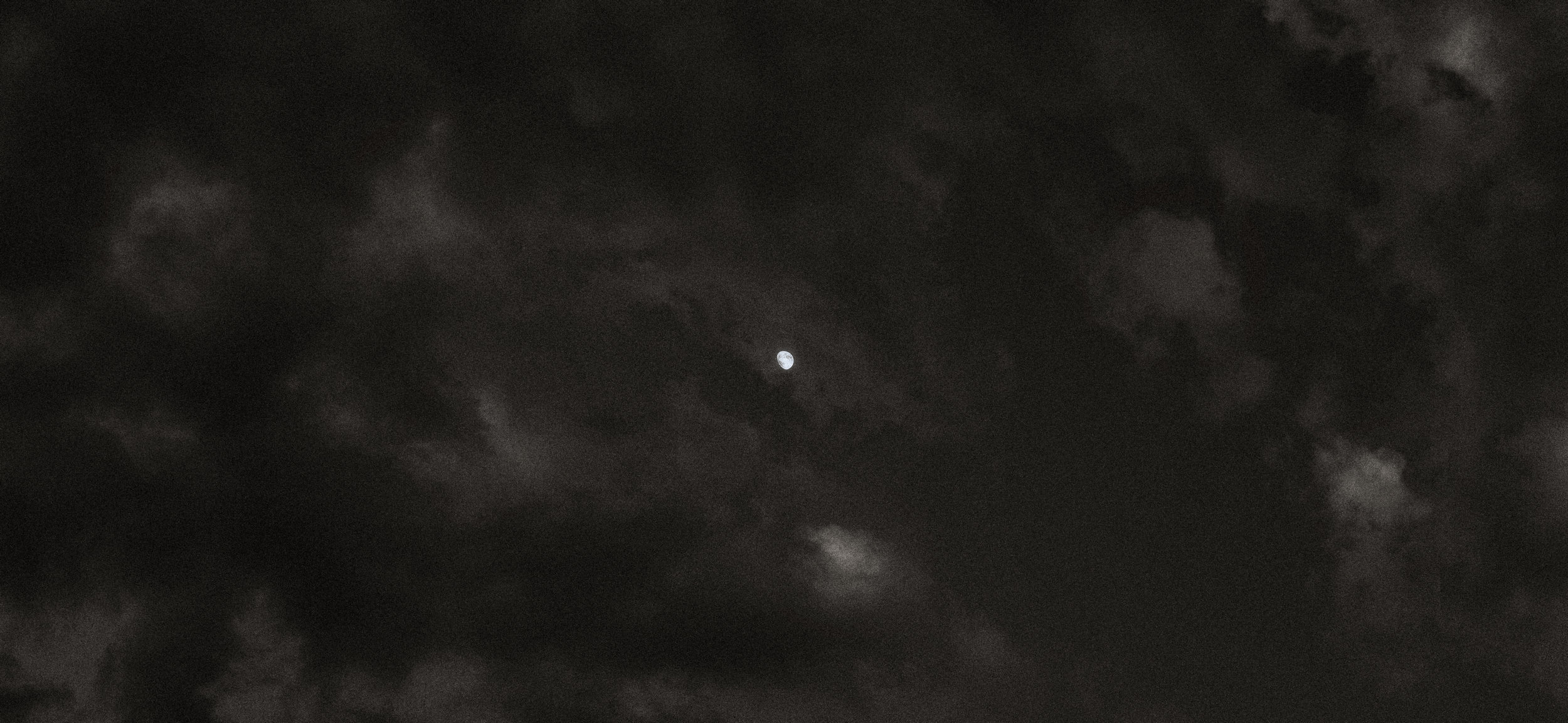 C01_7371-pano_edts