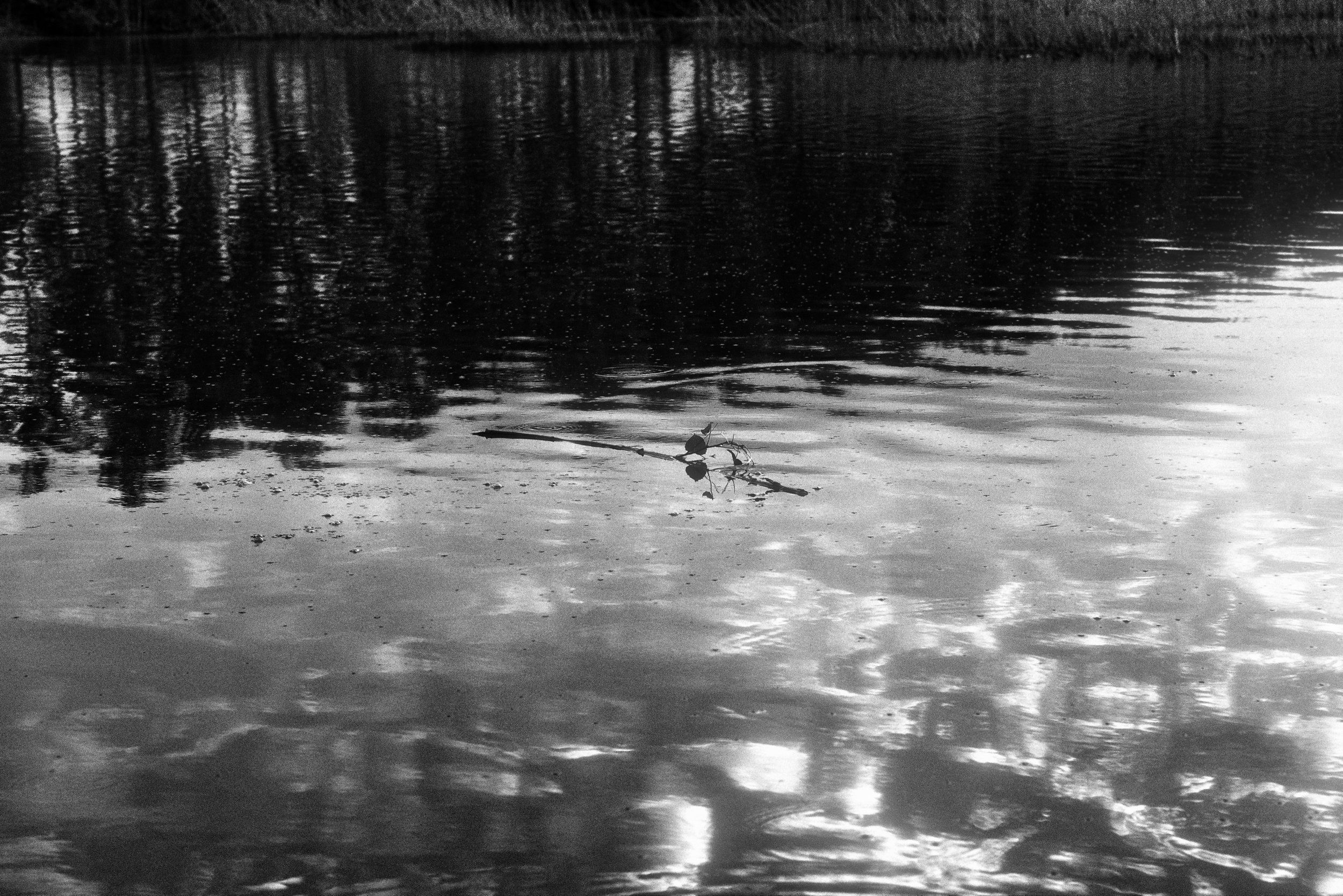 C01_0906_edts