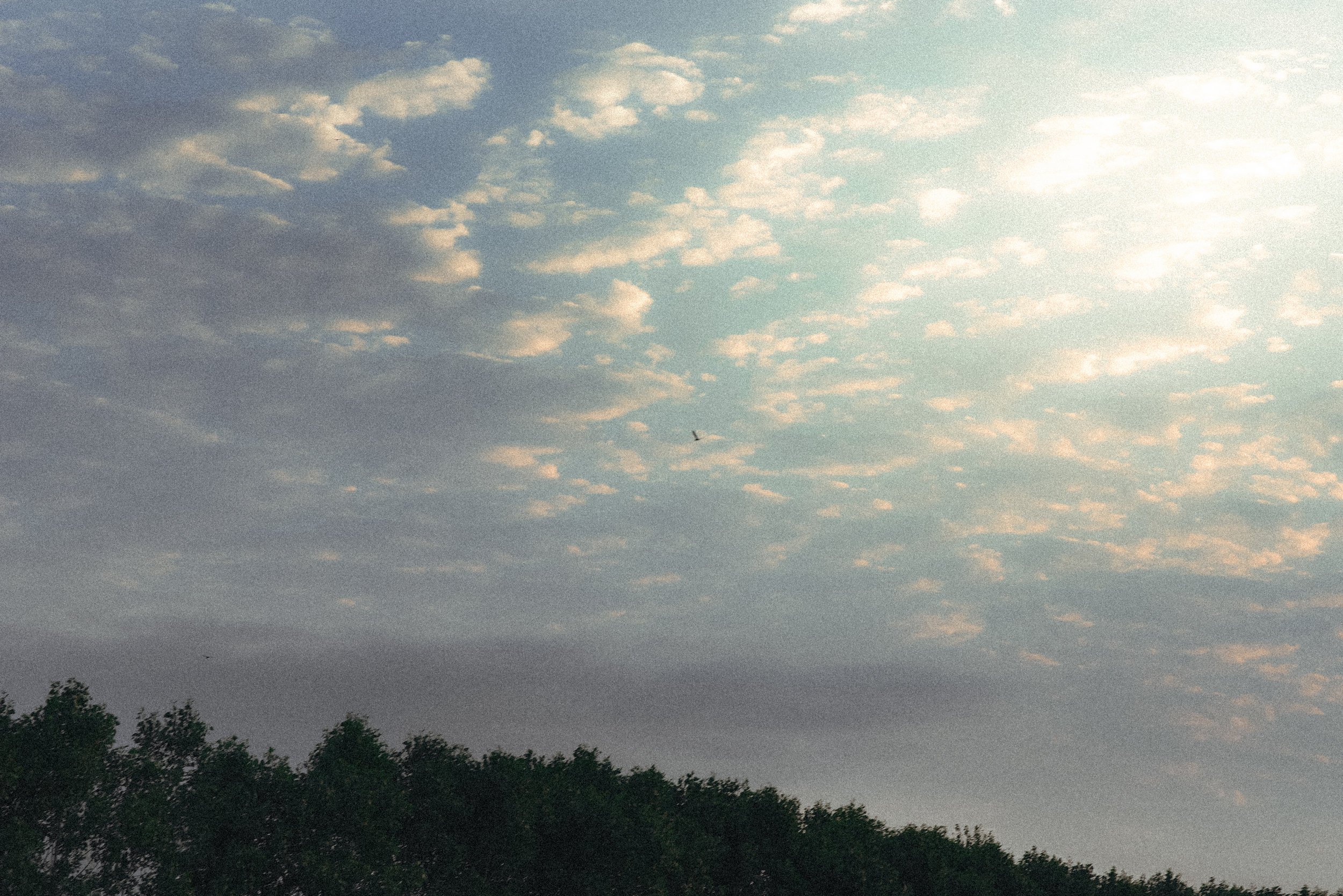 C01_0909_edts