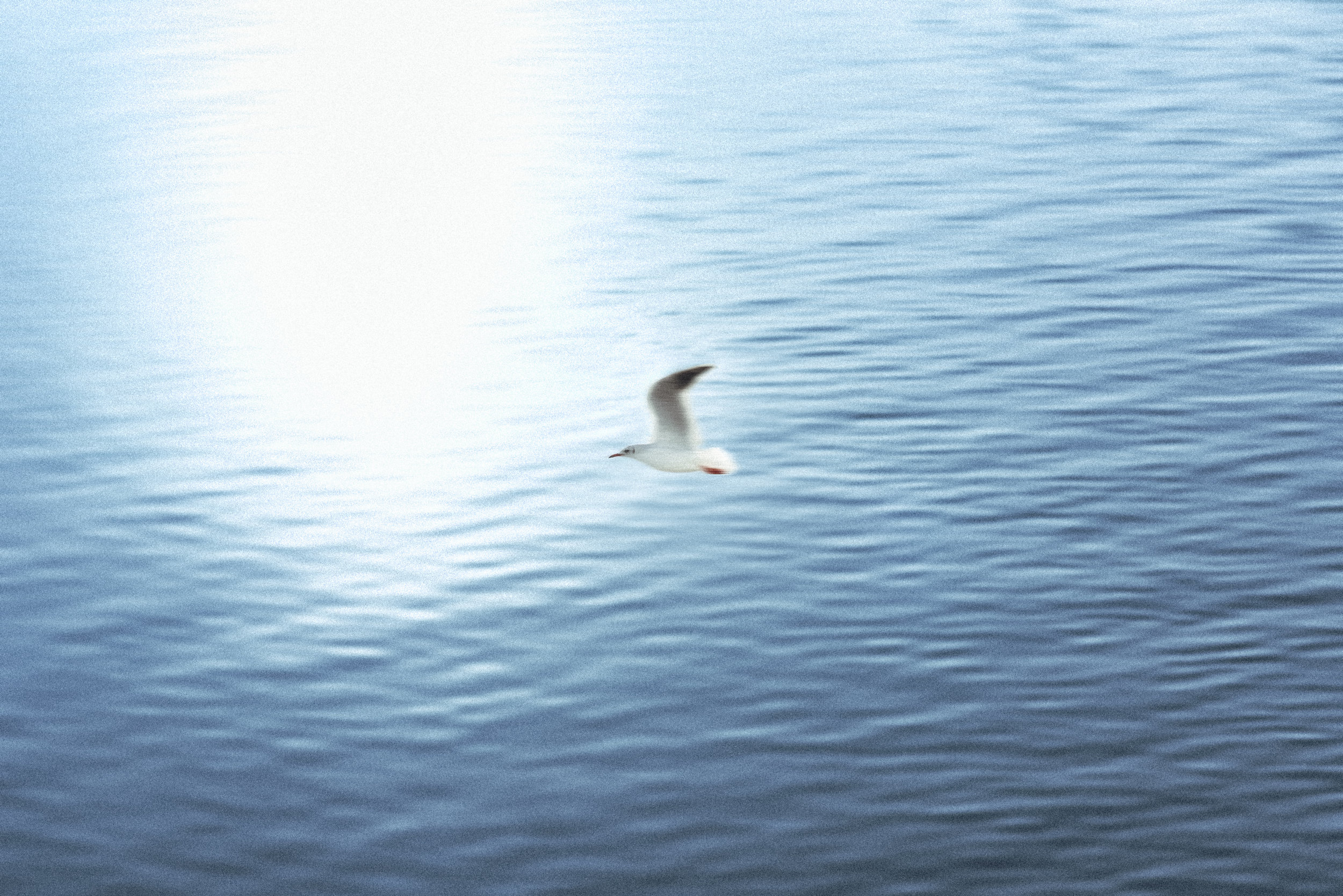 C01_7240_edts