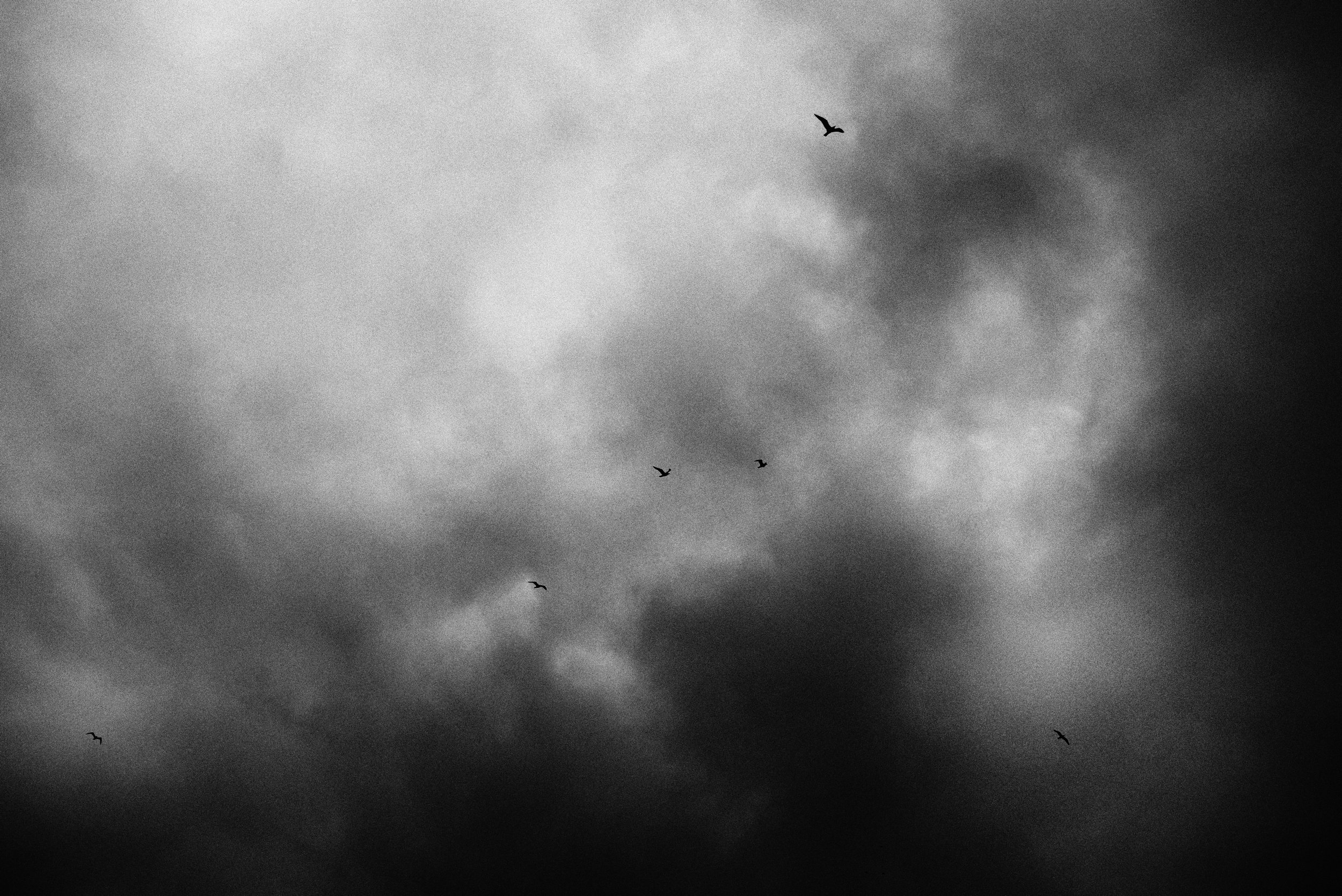 C01_1385_edts