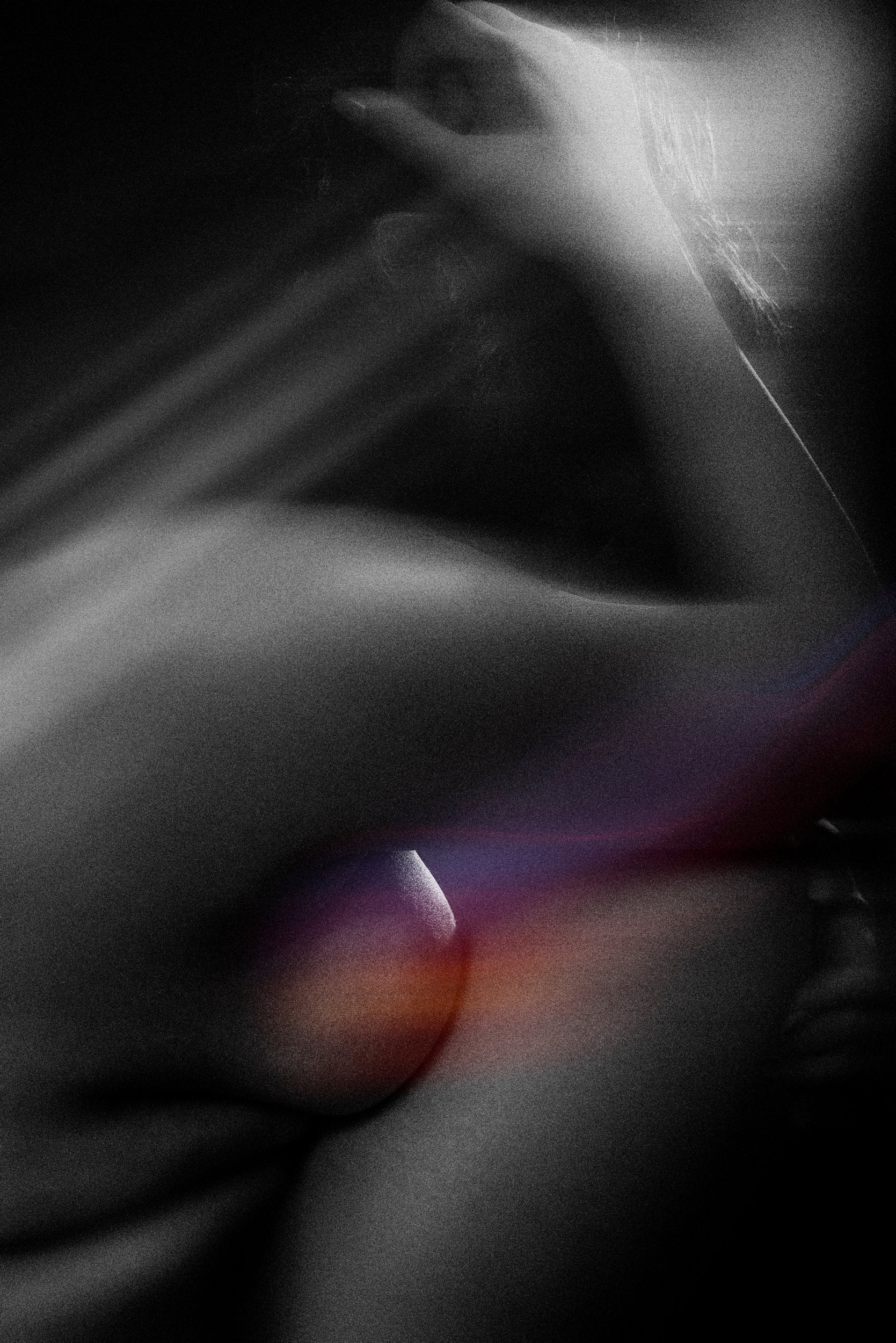 ANC_2689_1