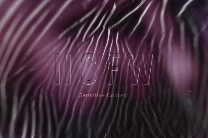 NSFW-cover
